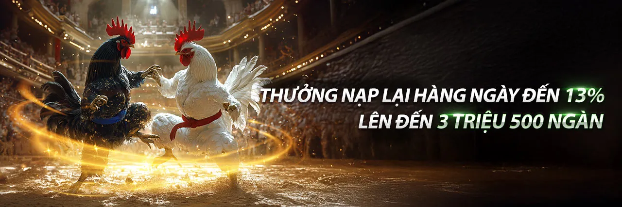 Đấu trường đá gà trực tiếp tại 89BET1